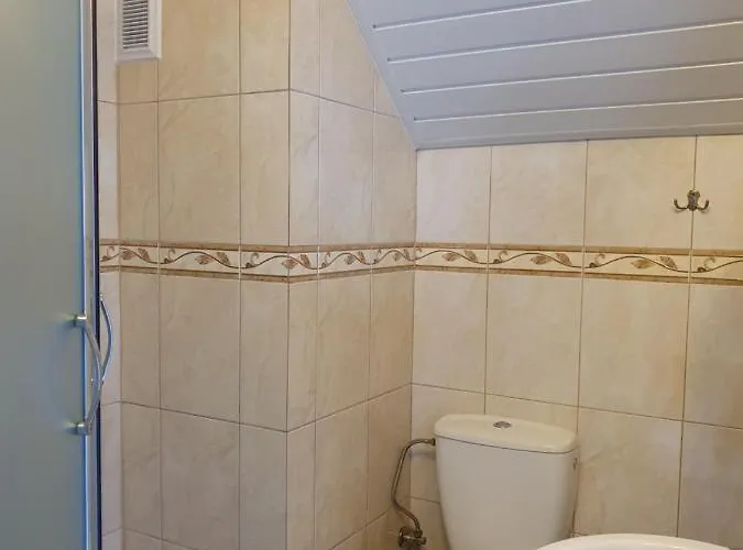 招待所 Ola 卡尔帕奇